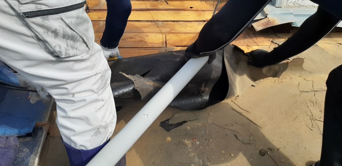 ４既存防水シート撤去